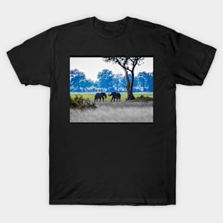 Two young bull elephants T-Shirt
